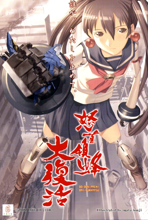 DoDonPachi Dai-Fukkatsu Ver 1.5 (2008/06/23 MASTER VER 1.5) (ARCADE) Box Art & Cover