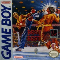 Kick Boxing, The (GB) Box Art & Cover
