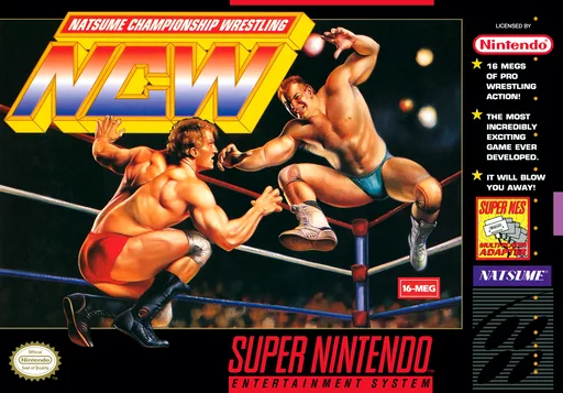 Natsume Championship Wrestling (SNES) Box Art & Cover