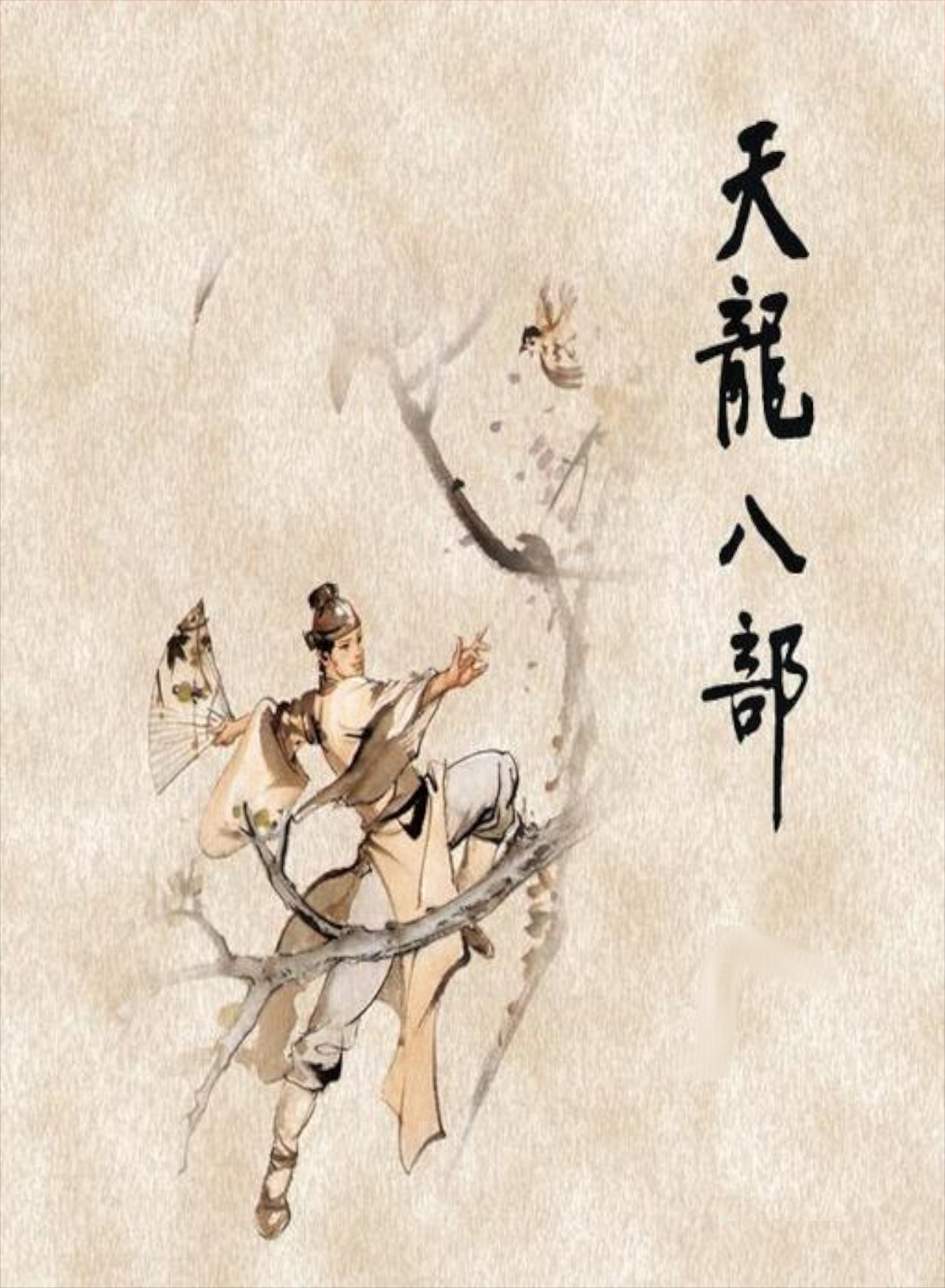 Tian Long Ba Bu (NES) Box Art & Cover