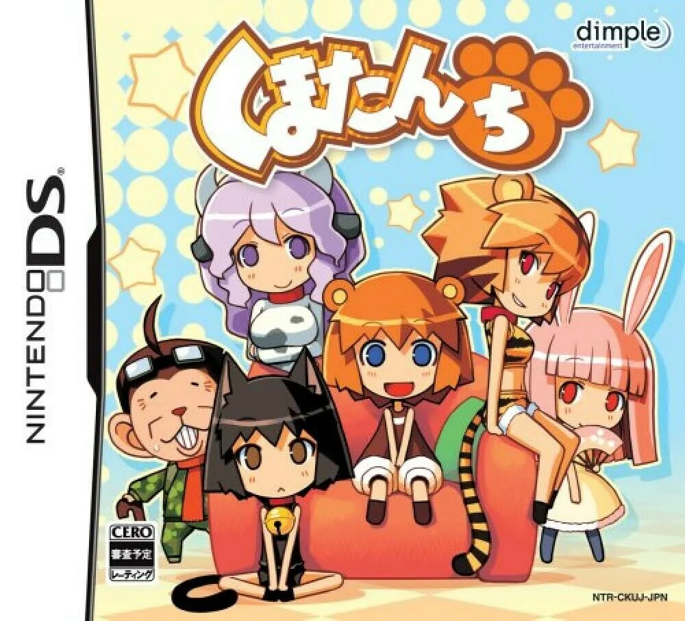 Bear Princess and Her Companions Incomplete Localization (DS) Box Art & Cover