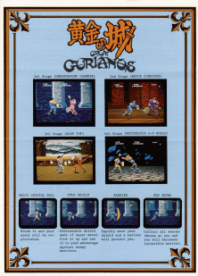 Ougon no Shiro (Japan) (ARCADE) Box Art & Cover
