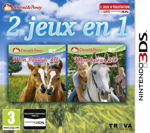2in1 Horses 3D - My Foal 3D + My Riding Stables 3D - Rivals in the Saddle (3DS) Box Art & Cover