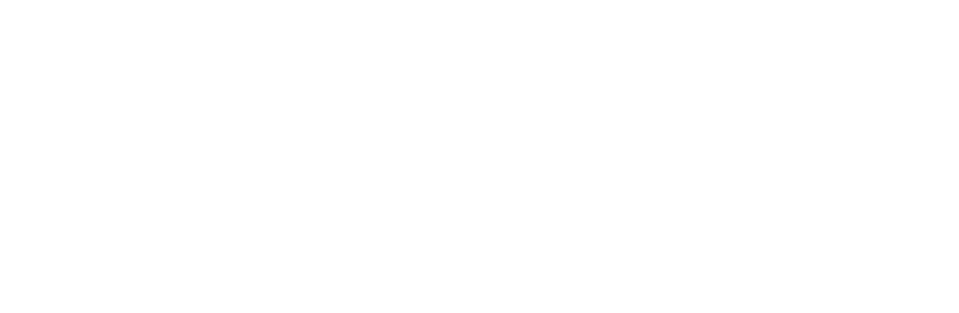 PlayStation Portable